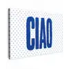 Ciao - Stippen - Roze - Wit canvas 2cm klein -z3d