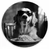 Golden Retriever - Hond - Vrolijk -  Bord spaghetti - Zwart - wit KitchenYeah - Keuken - Wandcirkel Forex klein -3d