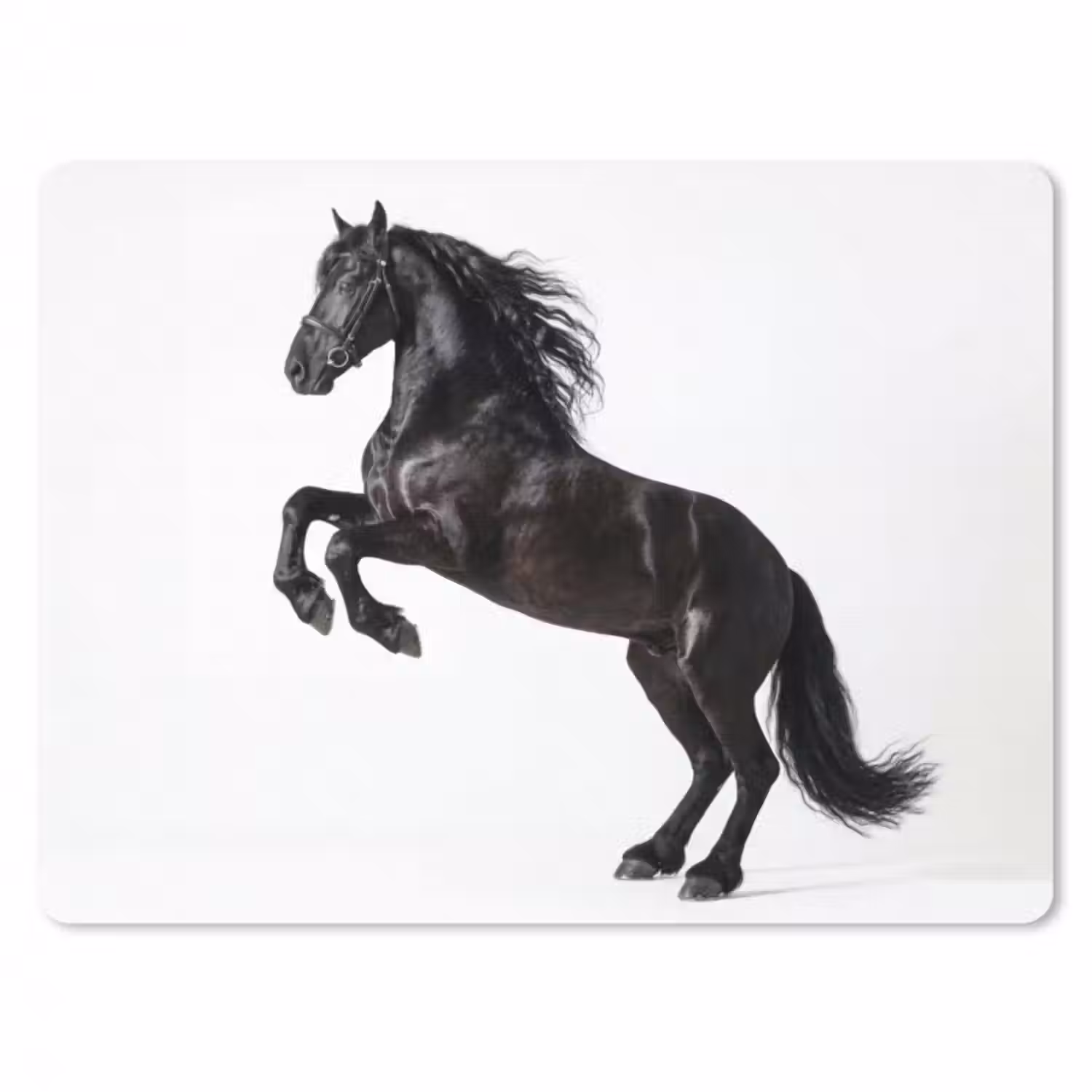 Mauspad - Schwarz - Pferd - Porträt
