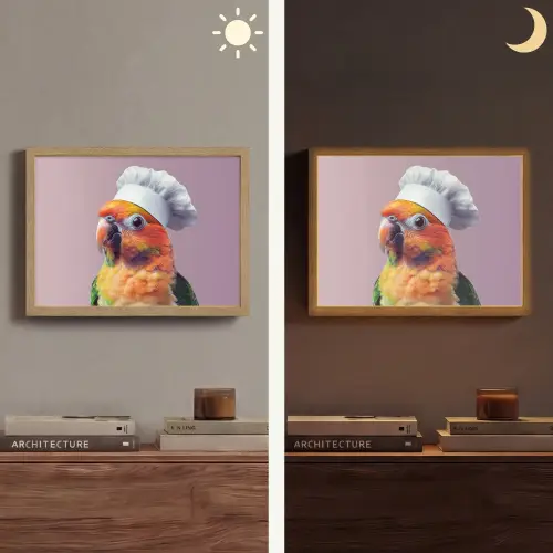 Papegaai - Koksmuts - Nieuwsgierig - Vogel Light Box met batterij (Wandlamp) middel -sfeer3