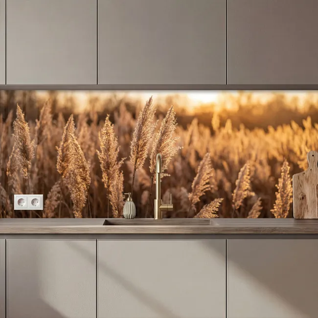 Keuken achterwand - Rietpluimen - Gras - Zonsondergang - Goud - Serene