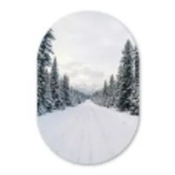 Weg - Sneeuw - Naaldbos - Winter - Avontuurlijk Wandcirkel Ovaal Aluminium middel -3d