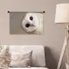 Uil - Bruin - Wit Wandkleed katoen klein -sfeer4