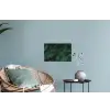 Monstera - Bladeren - Tropisch - Jungle Muursticker klein -plant