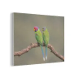 Papagaai - Tak - Natuur - Kleurrijk PET vilt klein -3d