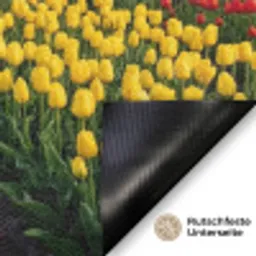 Tulpen - Holland - Molen - Kleurrijk Deurmat klein -antislip_DE