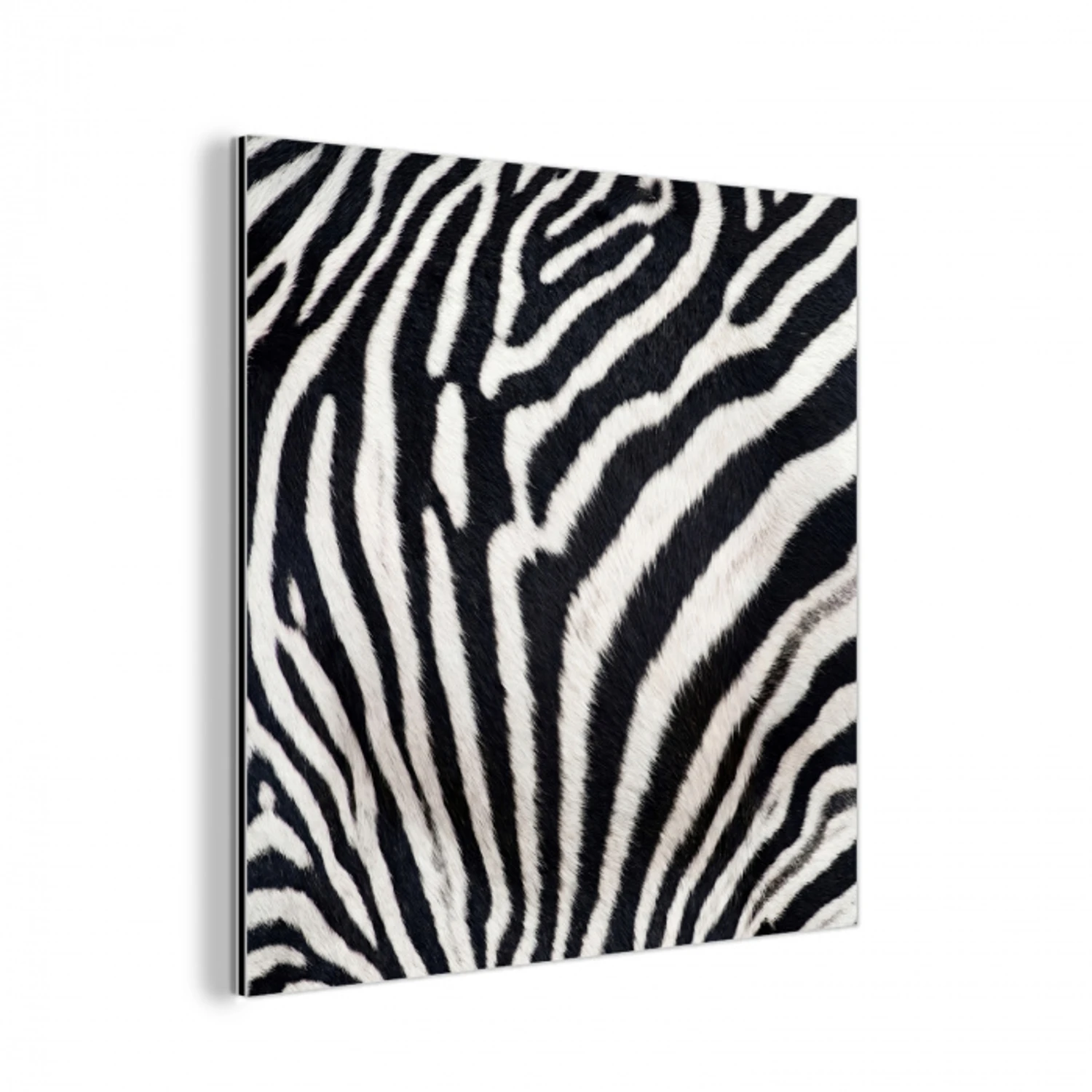 Zebra - Vacht - Klassiek - Zwart - Wit aluminium wit klein -3d