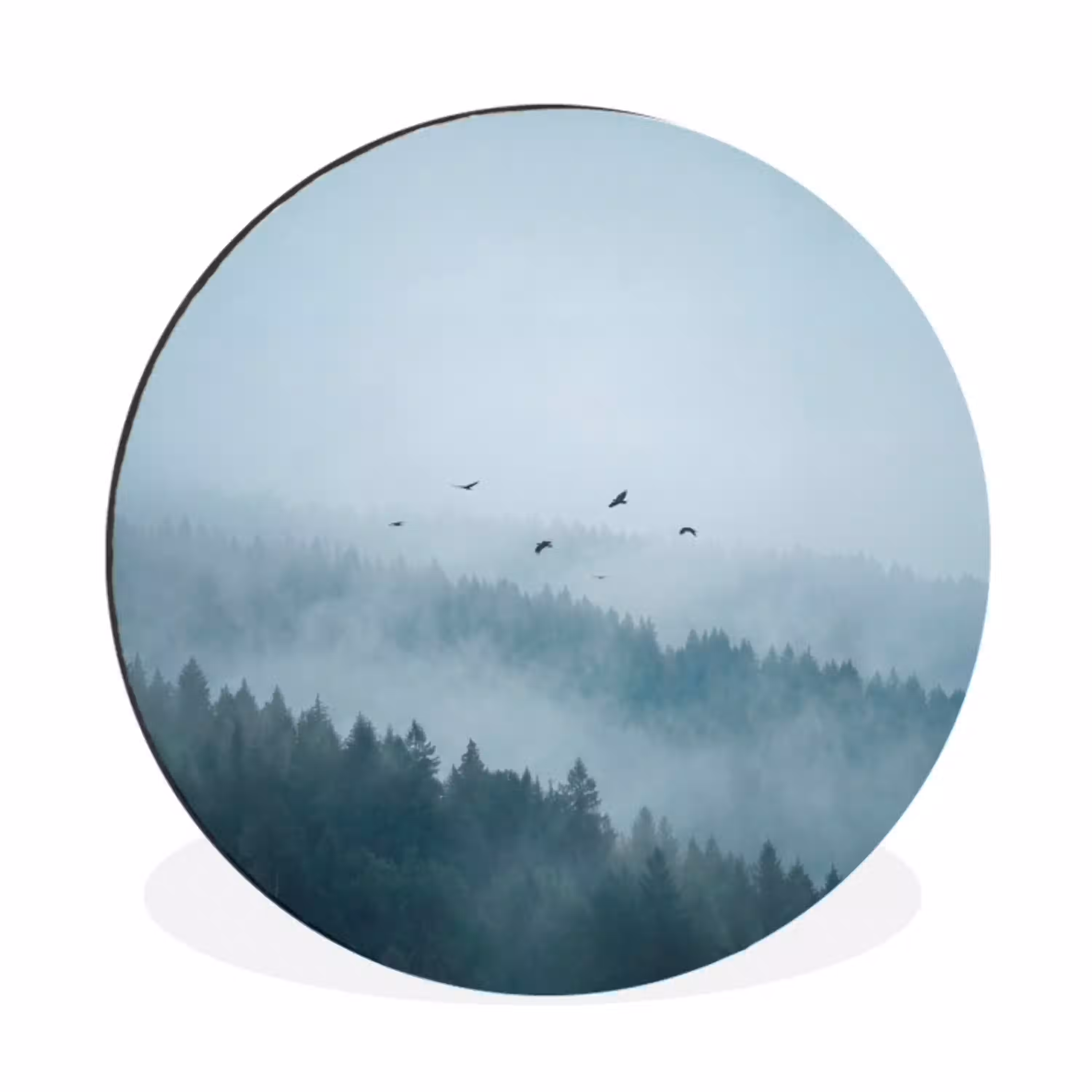 Bos - Mist - Vogels - Natuur - Groen Wandcirkel aluminium klein -3d