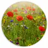 Lente - Bloemen - Rood - Klaproos - Gras - Groen Wandcirkel kunststof plaat 5mm dik klein -3d