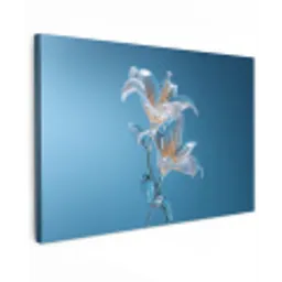 Lelies - Blauw - Glazen Tuinposter op houten frame 2 cm dik klein -3d