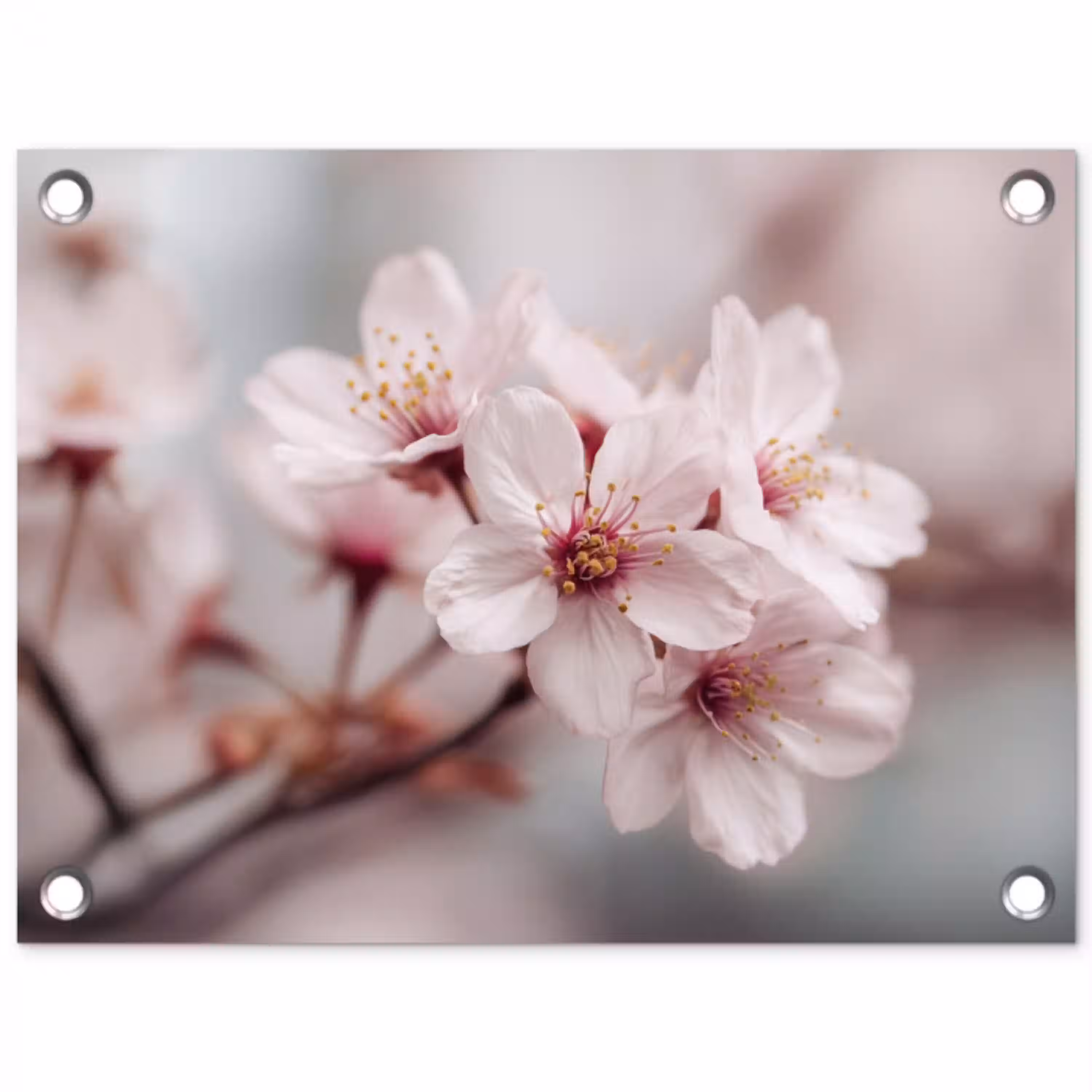 Bloesems - Meeldraden - Geel - Wazig tuinposter los doek klein -3d