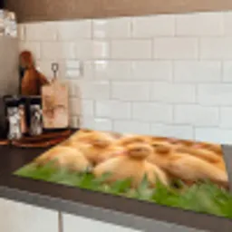 Pijltje - Eend - Natuur - Geel Inductie beschermer vinyl 3mm klein -sfeer3