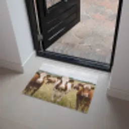 Koeien - Portret - Weide - Boerderij - Nieuwsgierig Deurmat klein -sfeer5