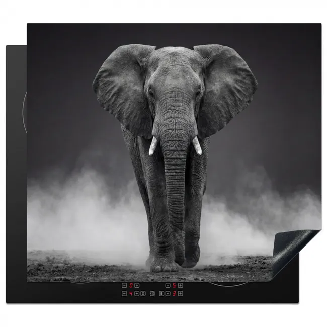 Induction hob cover - Elephant - Black - White - Smoke