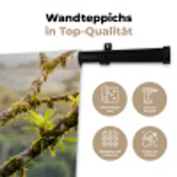 Toekan - Jungle - Natuur - Kleurrijk Wandkleed katoen klein -tsfeer2_DE