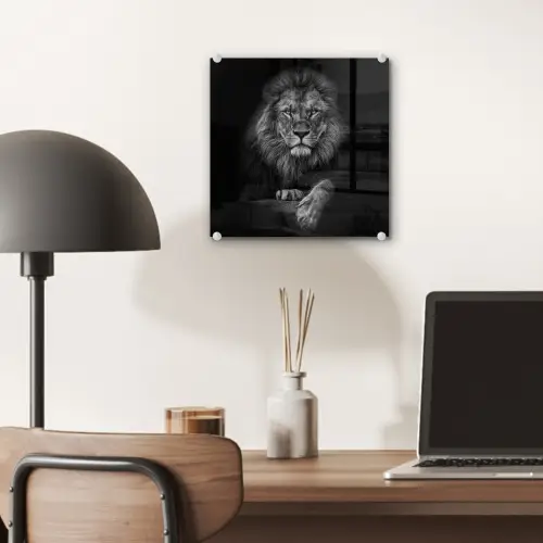 Leeuw - Dieren - Zwart - Wit plexiglas 5mm klein -sfeer6