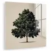 Eikenboom - Schaduw - Egaal plexiglas 5mm klein -zzzproduct_nieuw