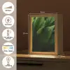Bladeren - Schaduw - Groen - Textuur Light Box met kabel (Tafellamp) klein -USP_NL