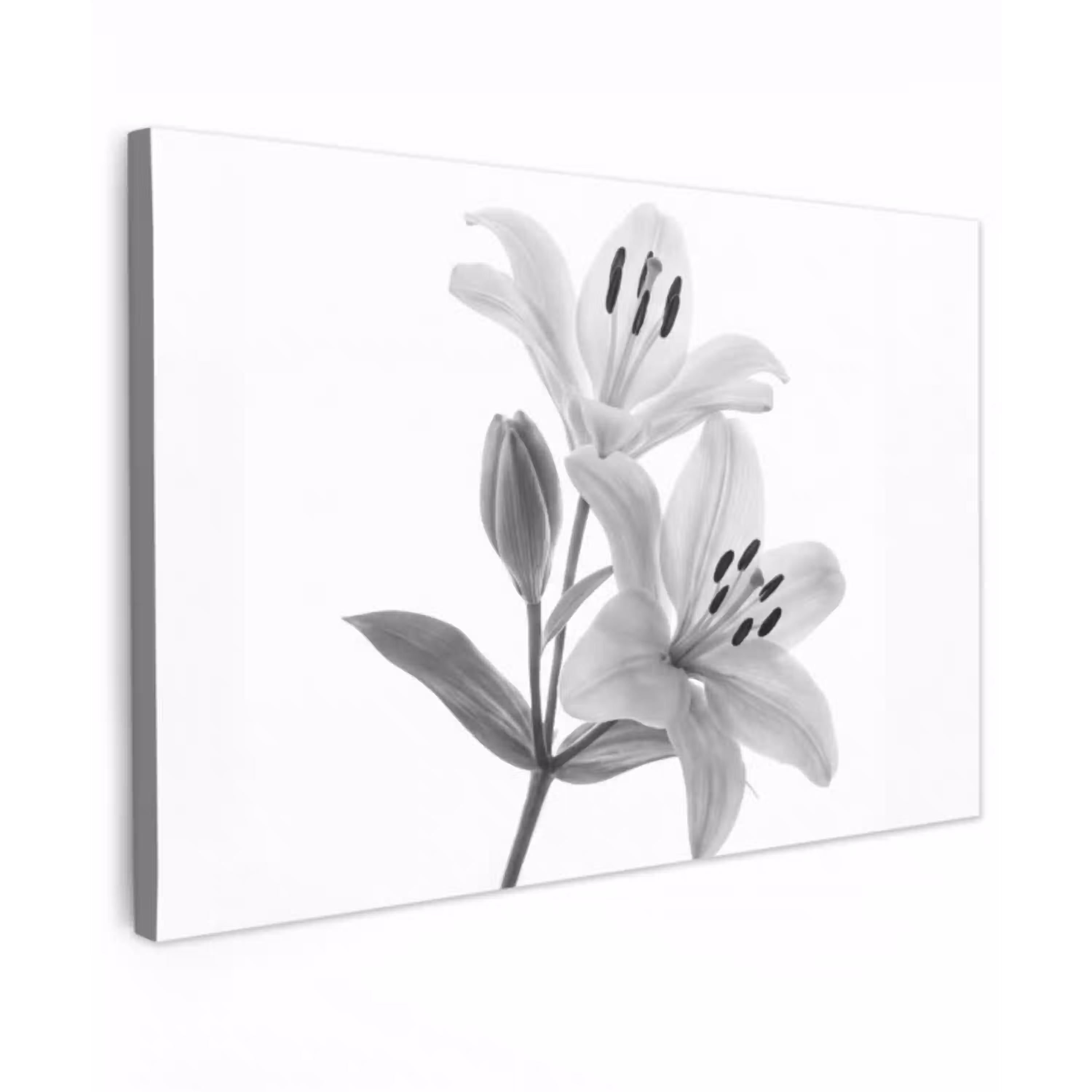 Lelies - Elegant - Zwart - Wit Tuinposter op houten frame 2 cm dik klein -3d