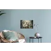 Tijger - Vlinders - Dieren - Jungle - Bloemen Muursticker klein -plant
