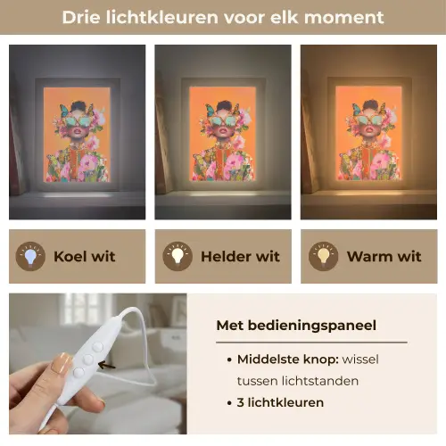 Vlinders - Vrouw - Zonnebril - Kleurrijk Light Box met kabel (Tafellamp) klein -USP_lichtkleurNL