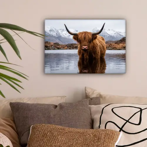 Schotse hooglander - Bruin - Water canvas 2cm klein -sfeer1