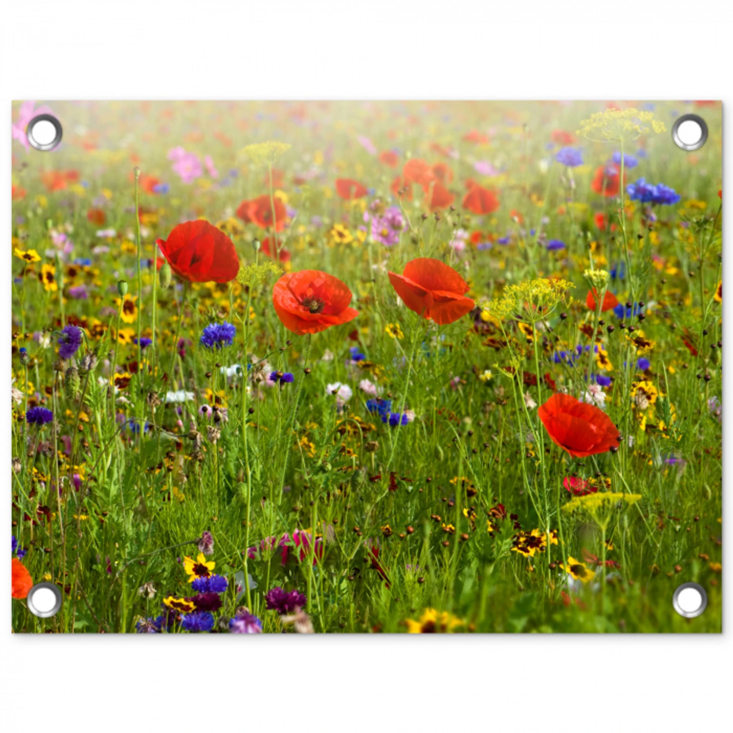 Weide van wilde bloemen en klaprozen tuinposter los doek klein -3d