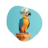 Papegaai - Koksmuts - Grappig - Vogel Wandcirkel Organisch Forex 3mm klein -3d