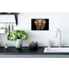 Olifant - Graffiti - Zwart - Dieren - Kleuren Muursticker klein -keuken