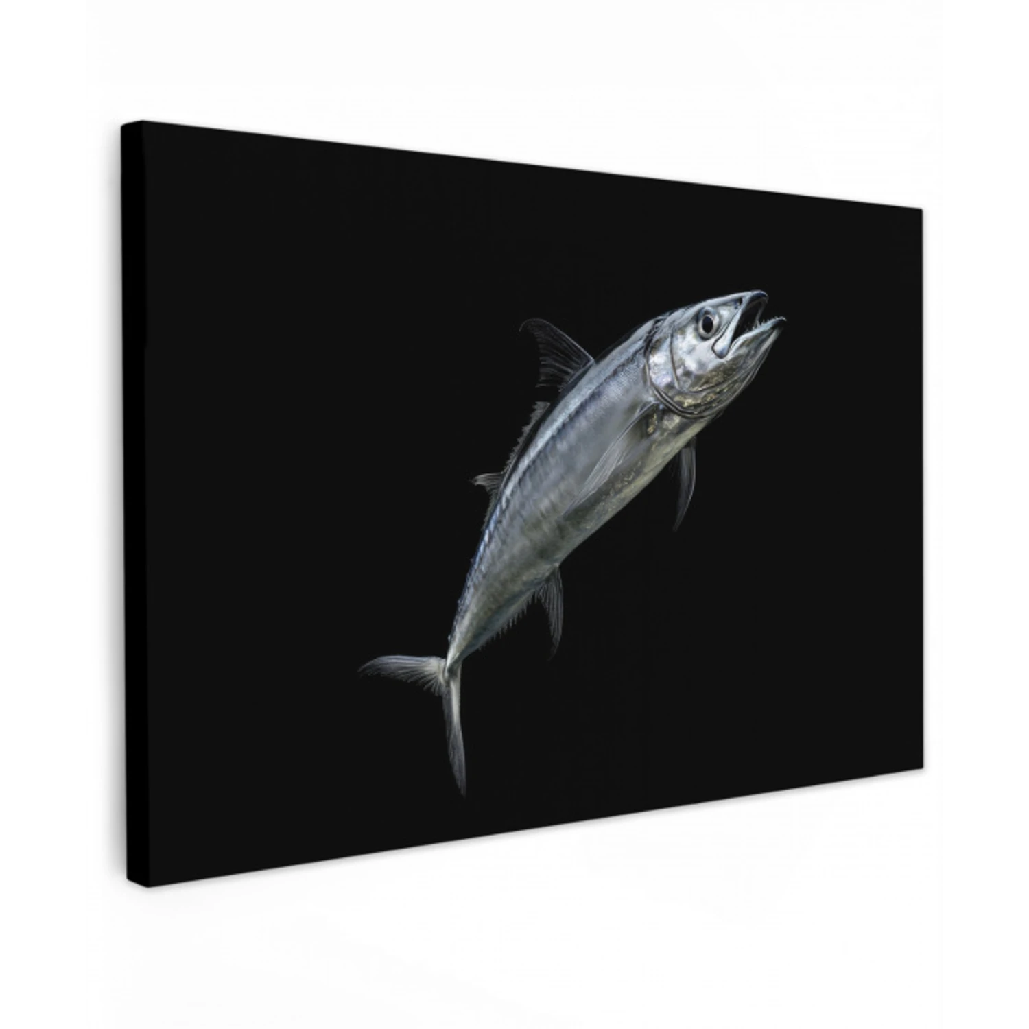 Makreel - Vis - Zwart Tuinposter op houten frame 2 cm dik klein -3d