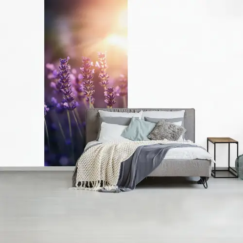 Lavendelbloemen - Paars - Zonlicht fotobehang vinyl groot -slaapkamer