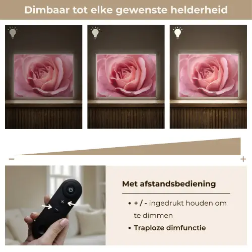 Roze - Roos - Romantisch Light Box met batterij (Wandlamp) middel -USP_dimbaarNL