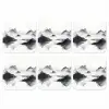 Bergen - Mistig - Water - Wit onderzetter kurk middel -3d