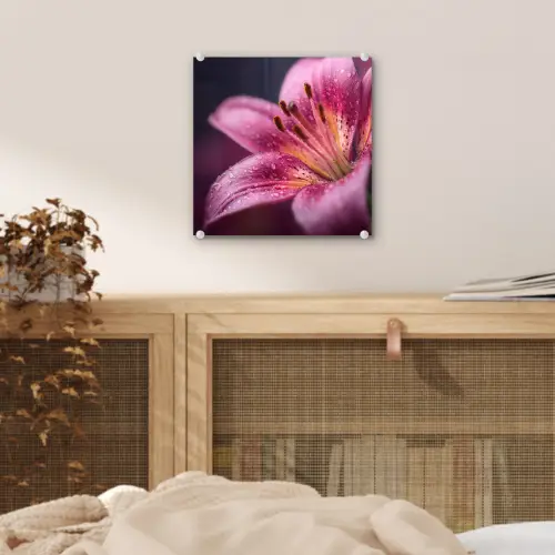 Roze - lelie - Dauwdruppels plexiglas 5mm klein -sfeer4