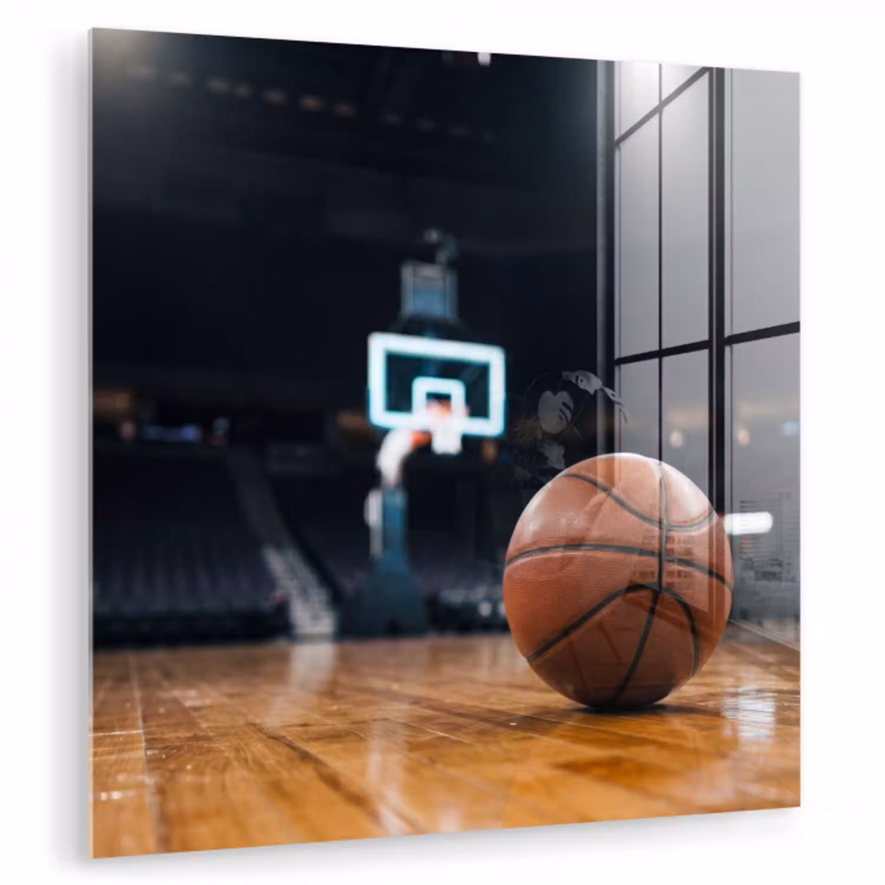Basketbal - Arena - Sport plexiglas 5mm klein -zzzproduct_nieuw