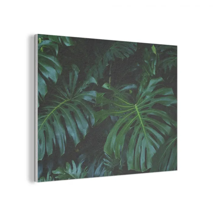 Monstera -  Inductie beschermer - Bladeren - Tropical - Afdekplaat voor kookplaat PET vilt klein -3d