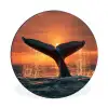 Walvis staart - Water - Zonsondergang Wandcirkel aluminium klein -3d