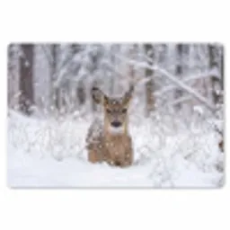 Hert - Sneeuw - Bos - Dieren - Vertederend Placemat vinyl groot -zzsfeer1_Kitchenyeah-website
