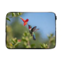 Kolibrie - Bloem - Natuur - Groen laptophoes neopreen klein -3d