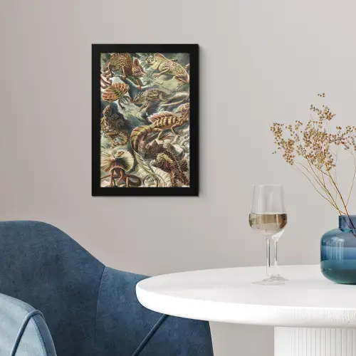 Vintage - Kunst - Ernst Haeckel - Salamanders - Dieren fotolijst zwart zonder passe partout klein -sfeer4