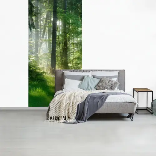 Natuur - Bomen - Bos - Groen - Zon fotobehang vinyl groot -slaapkamer