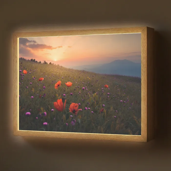 Bloemenveld - Gras - Bloemen - Planten - Zonsondergang - Oranje Light Box met batterij (Wandlamp) middel -z3d_website