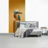 Ijsvogel - Pilaar - Koksmuts - Vogel fotobehang vinyl groot -slaapkamer