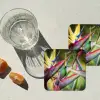 Kleurrijke vogel tussen allemaal kleurrijke platen onderzetter kurk middel -sfeer4