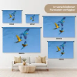 Papagaai - Vliegen - Blauw - Geel Wandkleed katoen klein -tsfeer8_DE