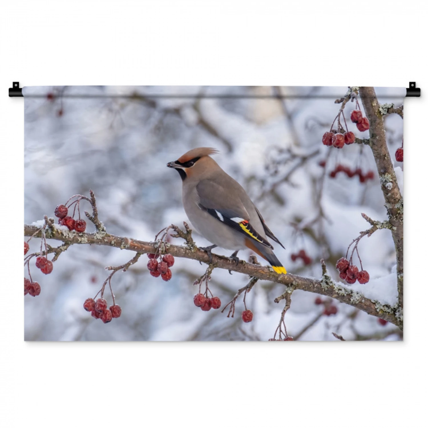 Pestvogel - Bessen - Winter - Natuur Wandkleed katoen middel -zz3d