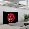 Bloem - Roos - Rood - Zwart keuken achterwand spatscherm klein -3d_schuin