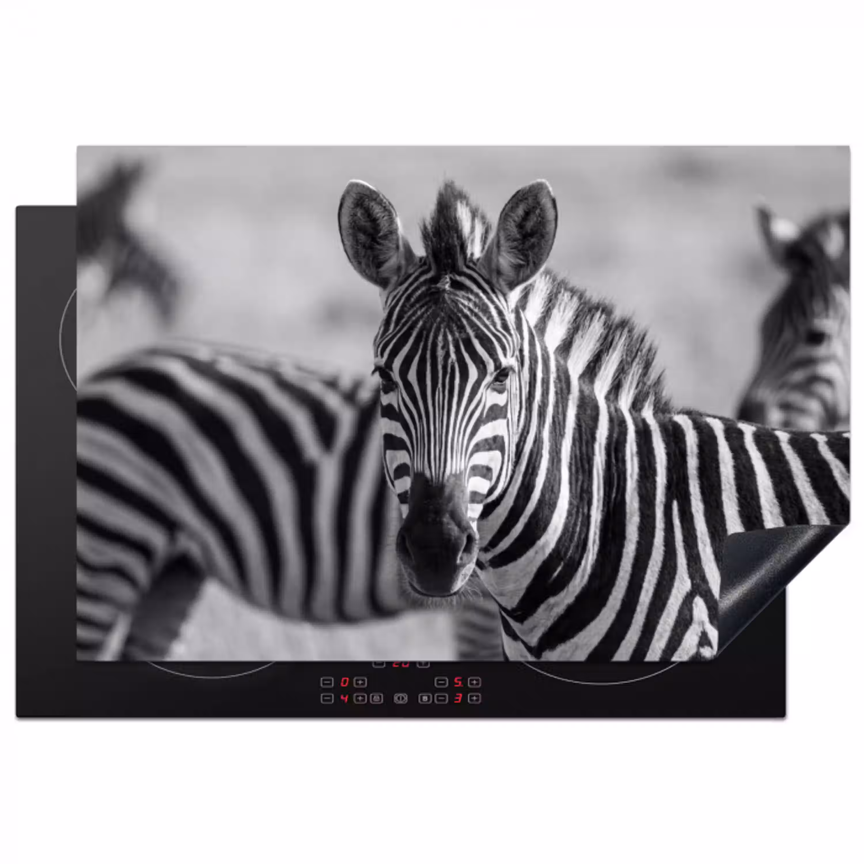 Zebra's - Zwart - Wit Inductie beschermer vinyl 3mm klein -3d