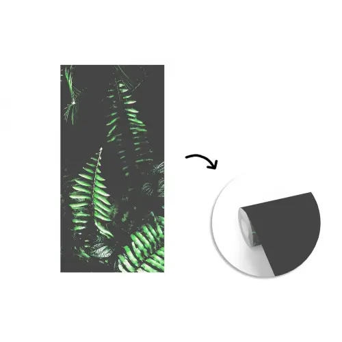Bladeren - Jungle - Natuur - Tropisch - Planten fotobehang vinyl groot -3d