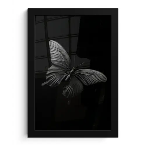 Vlinder - Zwart - Insect - Dieren fotolijst zwart zonder passe partout klein -3d